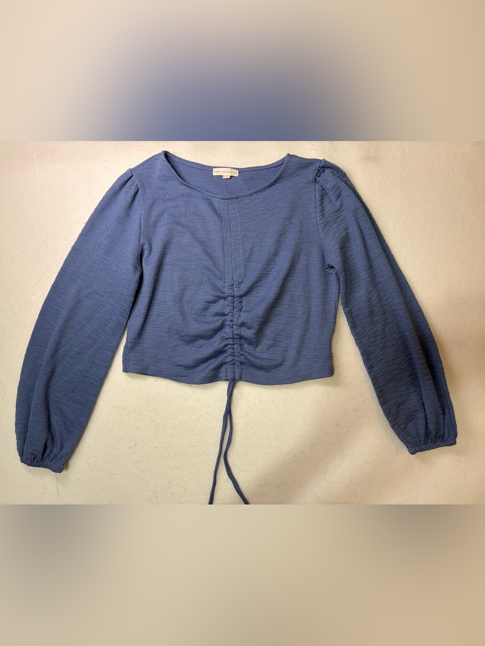 Ruched Drawstring Long Sleeve Crop Top in Periwinkle